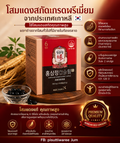 Jung Kwan Jang Koreansk Rød Ginseng – 100 kapsler